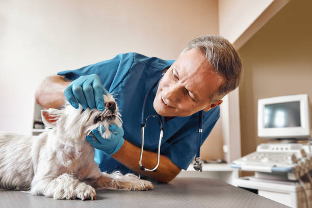 Best Emergency Root Canal Treatment in Park Layne, OH