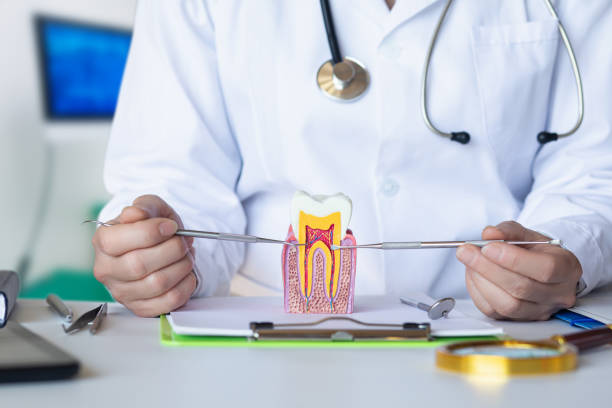 Best Emergency Treatment for Toothache in Park Layne, OH